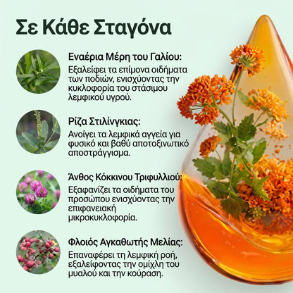 Zrevlika – Λεμφική Αποσυμφόρηση